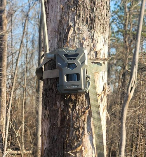 482079203_122181024338093074_3015399357994761194_n